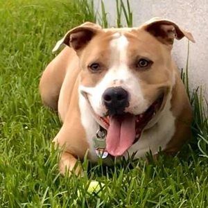 Meet your Posher, Raeshaun